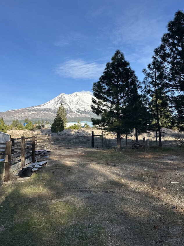 Foto del edificio - 1524 Alves Rd