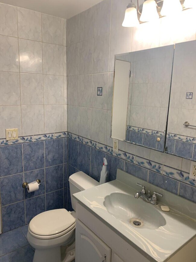 Bath Rm - 735 Greens Ave