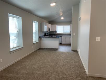 Building Photo - Brand New 2bd Condo in Springville!