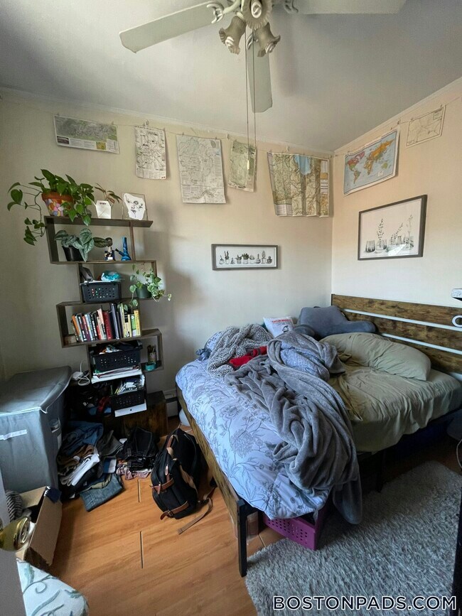 Foto del edificio - 262 Shawmut Ave