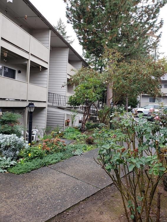Foto del edificio - Rochelle Apartments