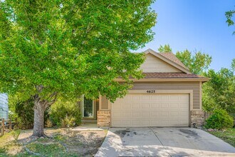 Building Photo - 4625 Double Lasso Ct