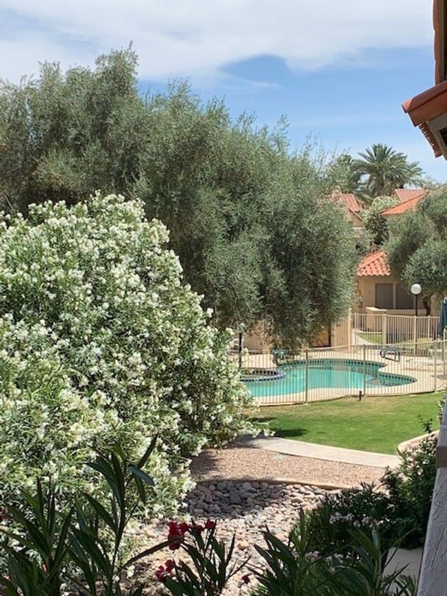 Foto principal - One bedroom condo/ Scottsdale