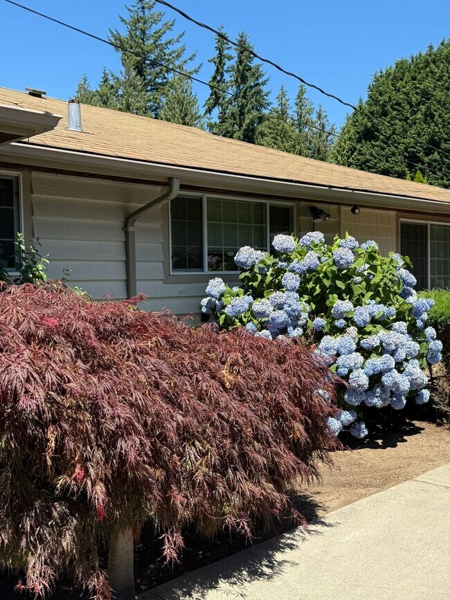 Foto del edificio - 3Bd/2Ba Renton House