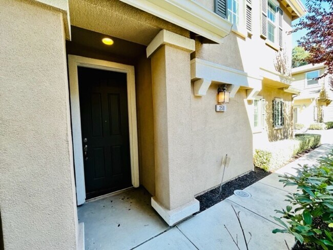 Building Photo - Beautiful 3BD/2.5BA, Newer Built, Single F...