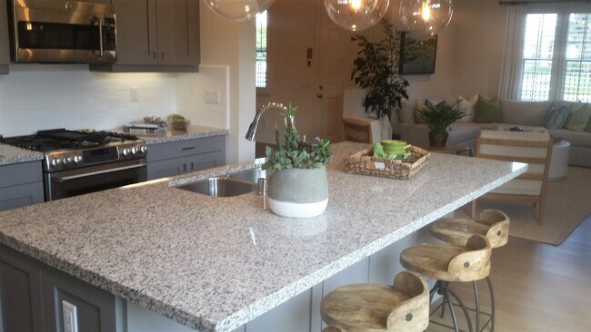 kitchen - 4316 Pacifica Way