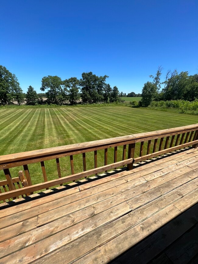 Back yard - 7421 State Rd