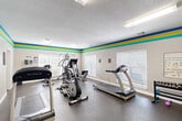 Located at 15235 O'Neal Rd in Gulfport, Mississippi, this fitness center offers a well-equipped workout space designed to support a range of exercise routines. The room is defined by its distinctive décor — a bold striped accent band of blue, yellow, and teal runs along the upper perimeter of the walls, adding a vibrant, energetic feel to the space.

The gym is outfitted with a comprehensive selection of equipment, including multiple treadmills, an elliptical trainer, a stationary bike, a rowing machine, and a multi-station cable and weight machine. A dumbbell rack with free weights rounds out the strength training options. The durable, dark rubberized flooring provides safe traction and cushioning throughout the workout area.

Natural light fills the room through several large windows fitted with horizontal blinds, creating a bright and welcoming atmosphere. Overhead fluorescent lighting ensures the space remains well-lit at all times. A wall-mounted television is also present, offering entertainment during workouts. The textured ceiling adds a classic architectural detail to the room.

Informational signage is posted on the walls, and a dedicated entry door provides clear access to the facility. The overall layout is efficient and functional, making effective use of the available floor area to accommodate a variety of fitness activities.