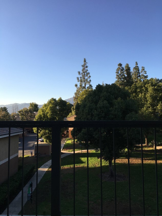 Foto principal - 10655 Lemon Ave