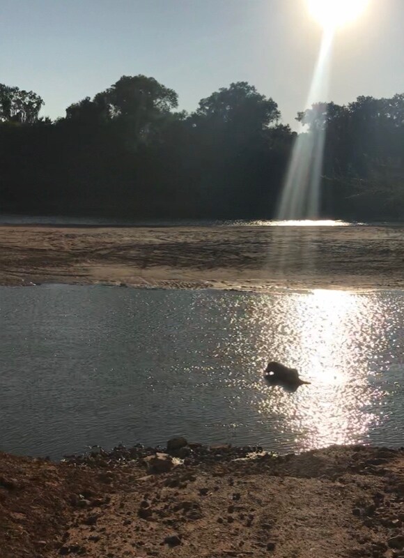 Foto del edificio - 4411 County Rd 127