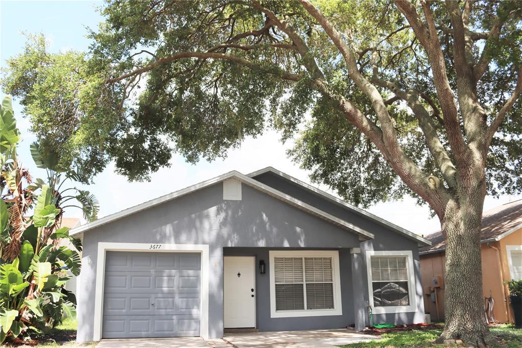 Primary Photo - 3677 Amelia Way