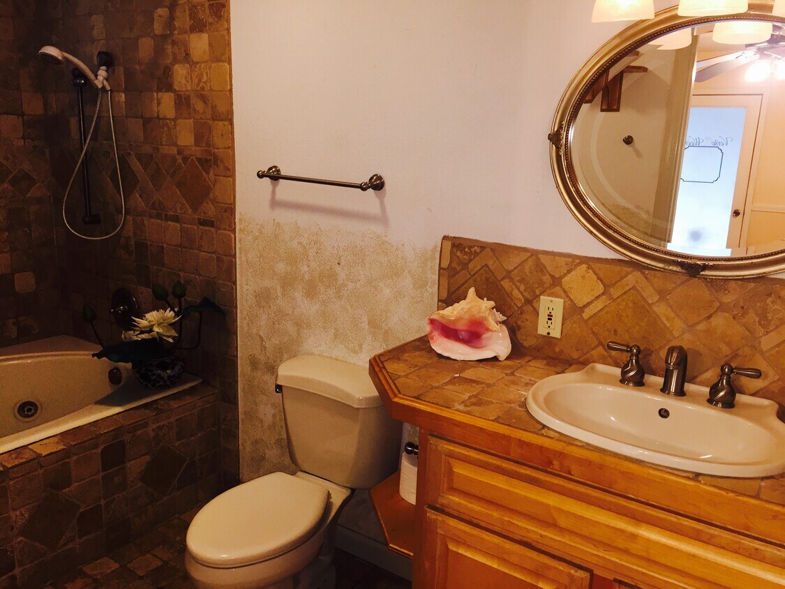 Bathroom - 969 Acalanes Rd