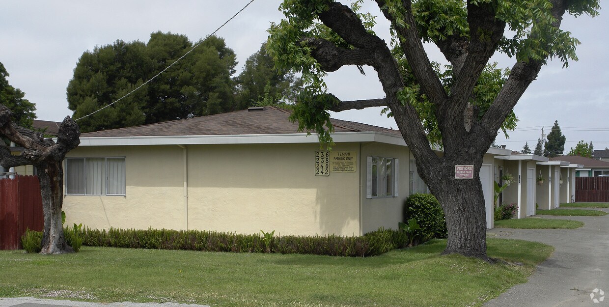 Foto principal - 236-242 Poplar Ave