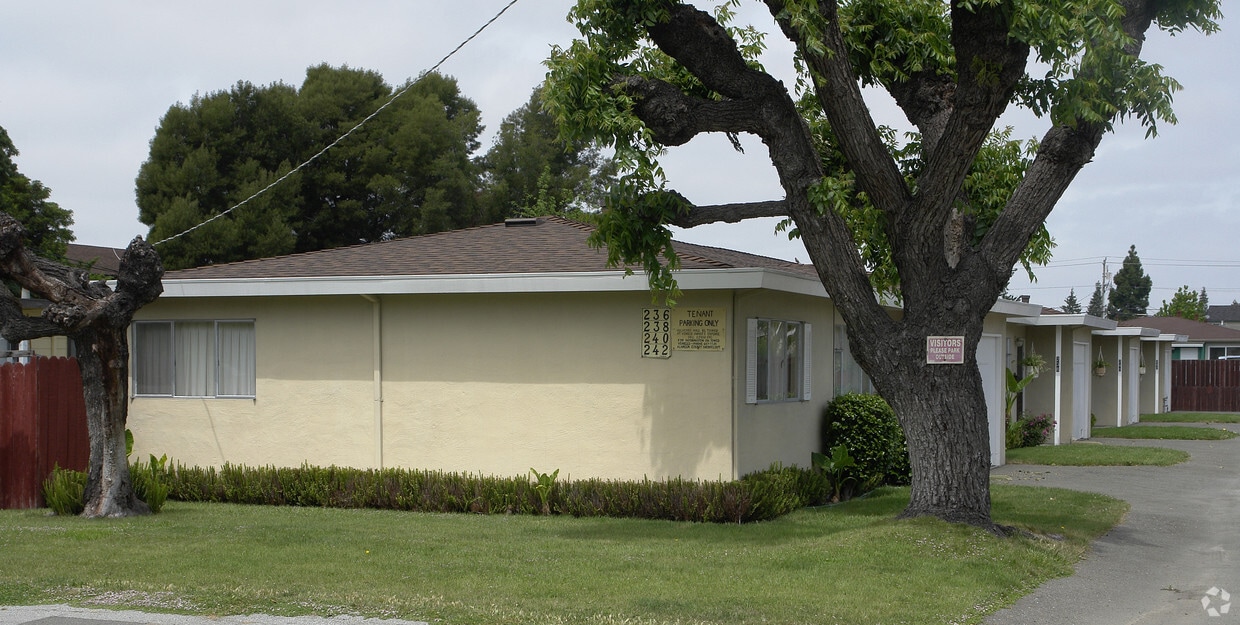 Primary Photo - 236-242 Poplar Ave
