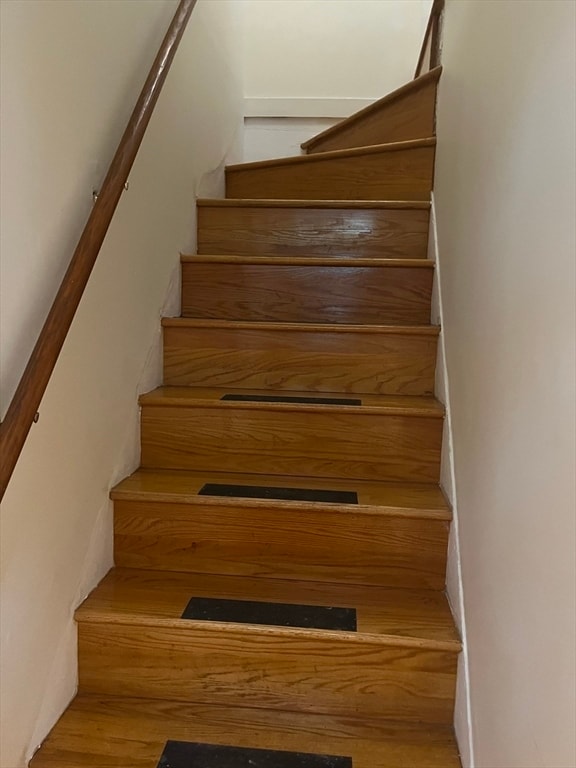 Building Photo - 16 Lopez St