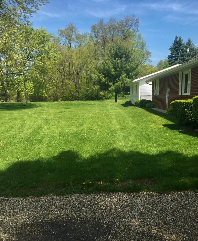 Back yard - 12812 S 18th St