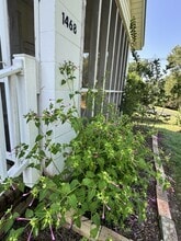 Building Photo - 1468 Hilltop St