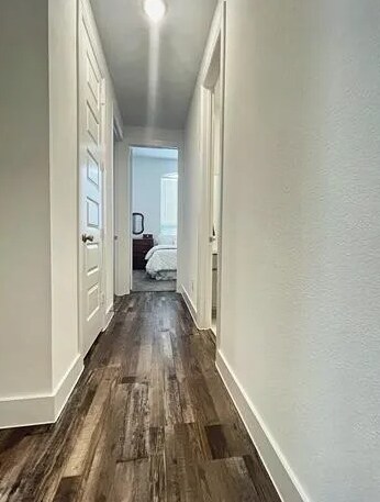 Foto del edificio - 3812 Deer Point Dr