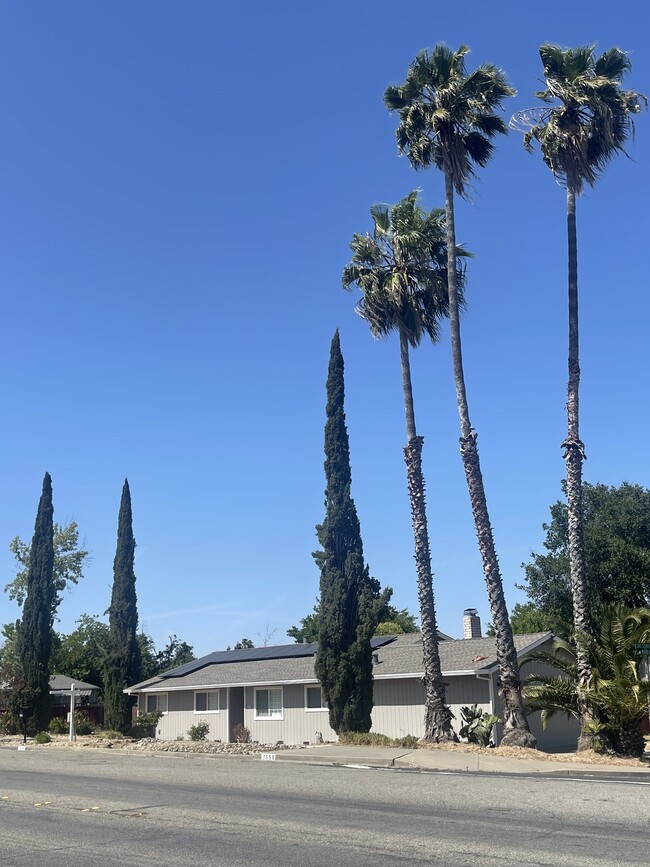 Beautiful Trees on Property - 1650 Farm Bureau Rd