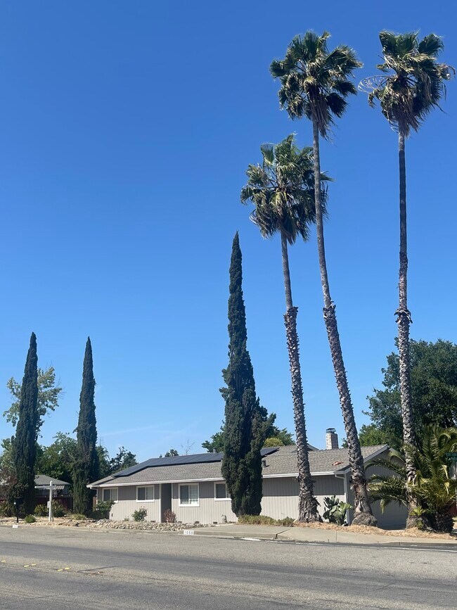 Hermosos árboles en la propiedad - 1650 Farm Bureau Rd