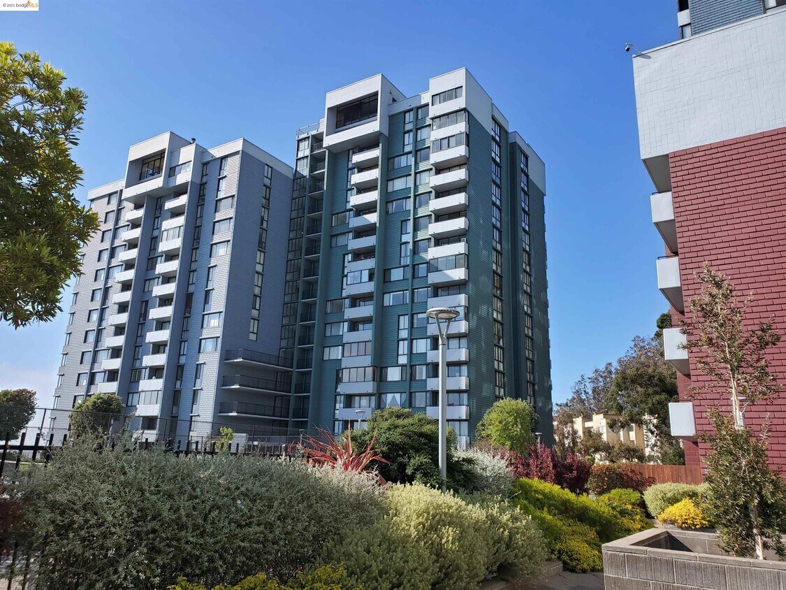 555 Pierce St 709, Albany, CA 94706 Condo for Rent in Albany, CA