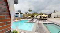 This outdoor amenity space is centered around a generously sized swimming pool with clear blue water, complemented by an adjacent spa. The pool deck is finished with a combination of concrete and brick-accent paving, providing a clean and durable surface throughout the area. Multiple blue lounge chairs are arranged poolside, offering residents comfortable spots for relaxation, while several patio tables with large umbrellas provide shaded seating toward one end of the deck. Bright yellow planters add a pop of color near the pool's edge, enhancing the visual appeal of the space.

A standout feature of this amenity area is a covered pergola structure with a slatted roof and exposed dark beams, enclosed by warm red brick walls on multiple sides. This semi-sheltered lounge area is furnished with wicker seating, including a sofa, armchairs, and low tables, creating an inviting outdoor living environment. Sheer curtain panels at the pergola's open side add a degree of privacy and shade.

The surrounding landscape includes mature palm trees, Italian cypress, and deciduous trees, contributing a lush, park-like backdrop. The multi-story residential buildings with blue-accented balconies frame the space, while a perimeter fence defines the boundary of this well-maintained communal outdoor retreat.