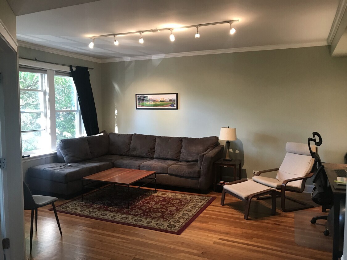 Light-filled living room on quiet tree lined street! - 535 W Eugenie St