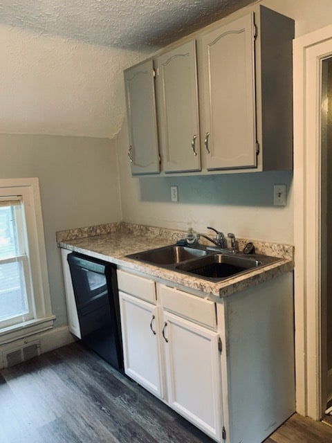 Full dishwasher - 161 Cypress St