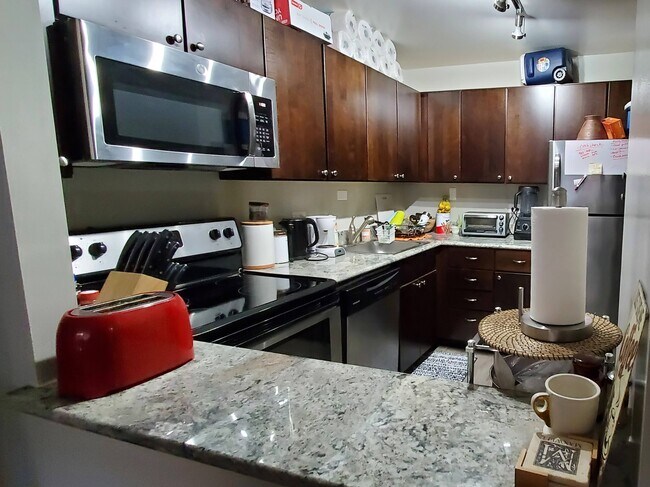updated kitchen with granite - 549 N McClurg Ct