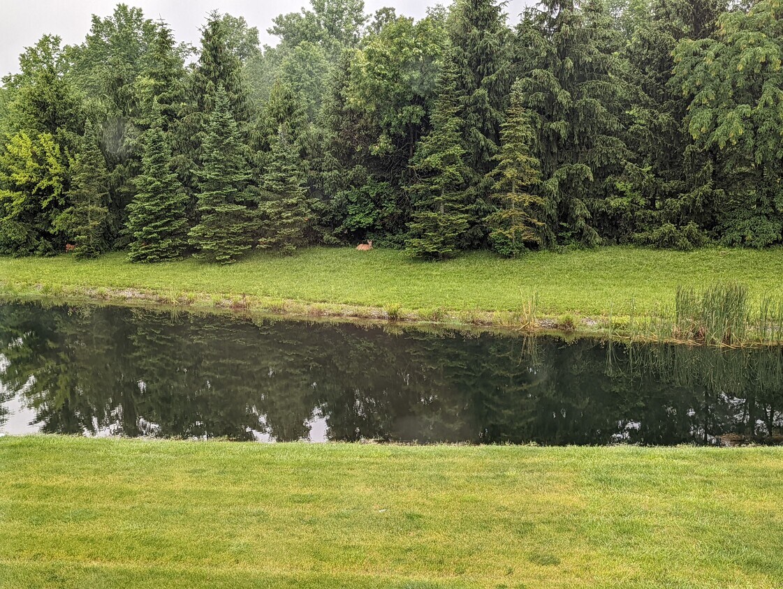 4011 April Ln Unit 1, Sterling Heights, MI 48310 Condo for Rent in