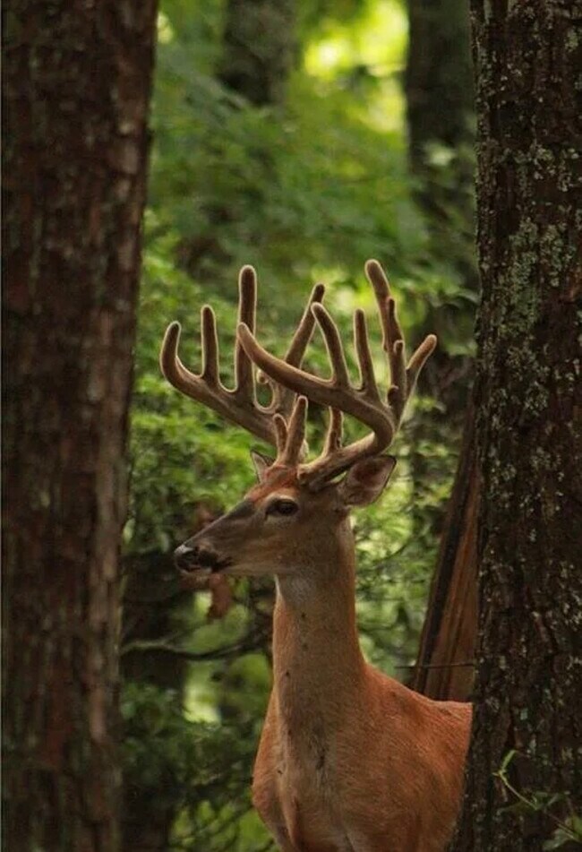 Foto del edificio - 304 Sunset Ct