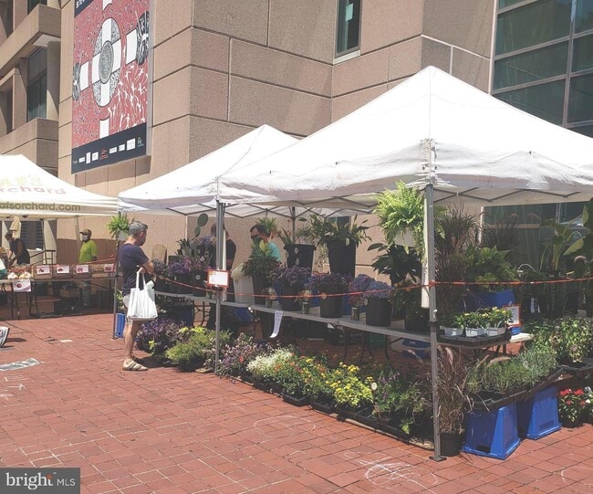 Building Photo - 1802 11th St NW