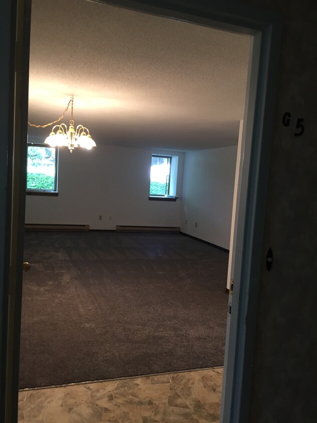 View from entry door into living room. - 317 Fairmount Ave