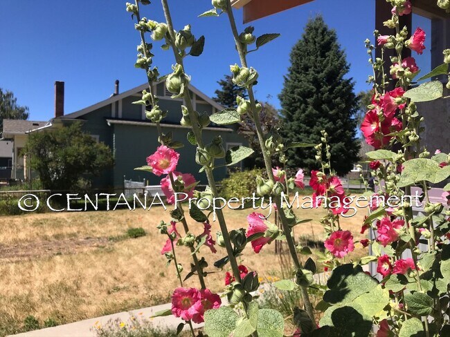 Building Photo - This type of rental almost never comes aro...