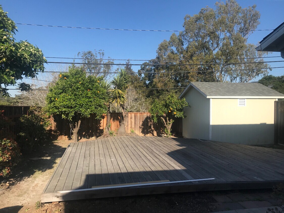 Large Private Yard - 909 Veronica Springs Rd
