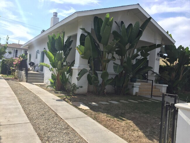 Drive way / Front yard - 828 9th St