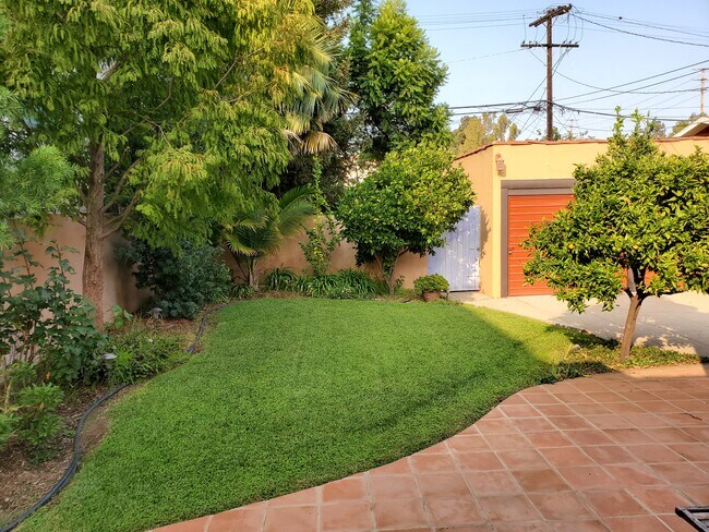 Back yard - 1556 S Carmelina Ave
