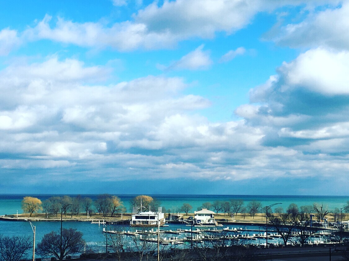 View of Belmont Harbor - 3200 N Lake Shore Dr