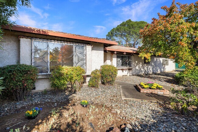 Building Photo - 1096 Corino Real Ct