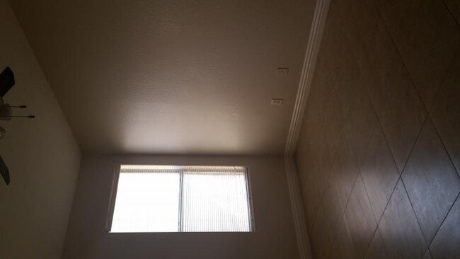 Building Photo - 4125 Lighthouse Ave