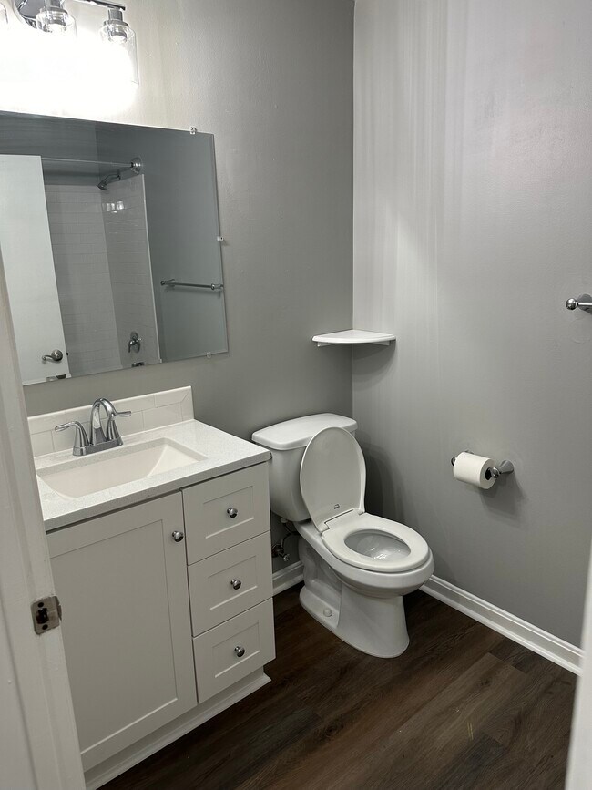Fully renovated bathroom - 219 Rosebay Ct