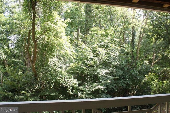 Foto del edificio - 7503 Ashby Ln