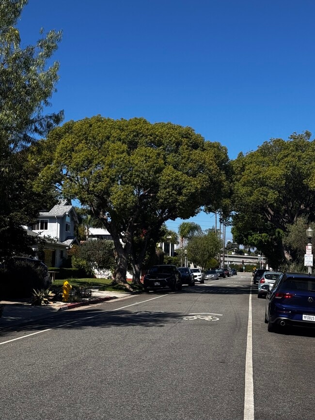 Tree-lined street - 3574 Wesley St