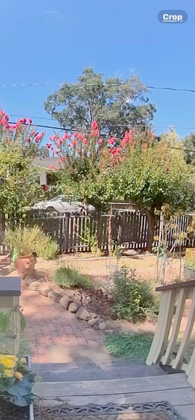 Front yard - 9 Scenic Ave