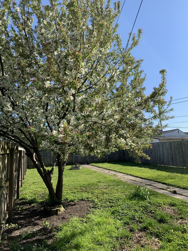 Large Backyard with Fire Pit! - 249 E Jenkins Ave