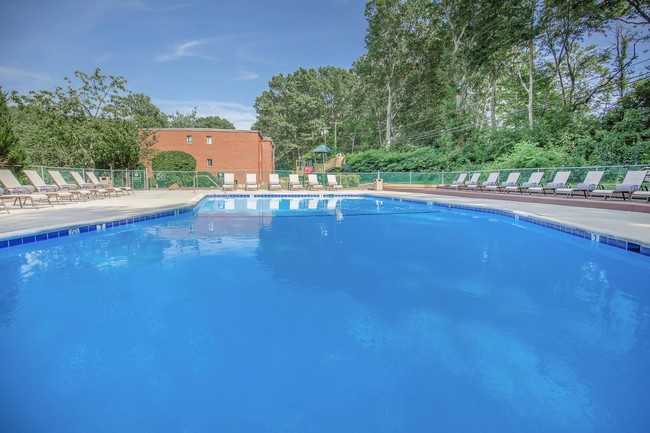 PISCINA RELUCIENTE CON TERRAZA - Forest Park