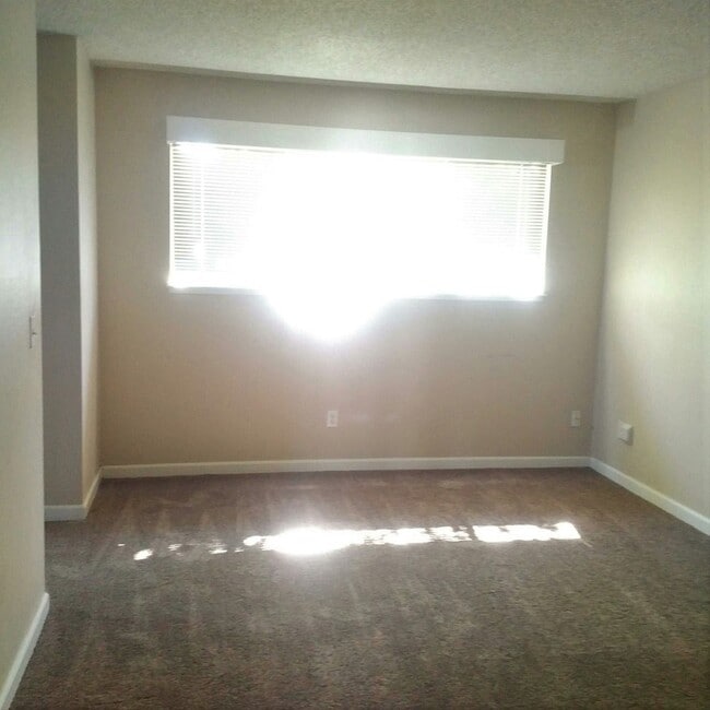 Foto del edificio - 5900 Moss Creek Cir