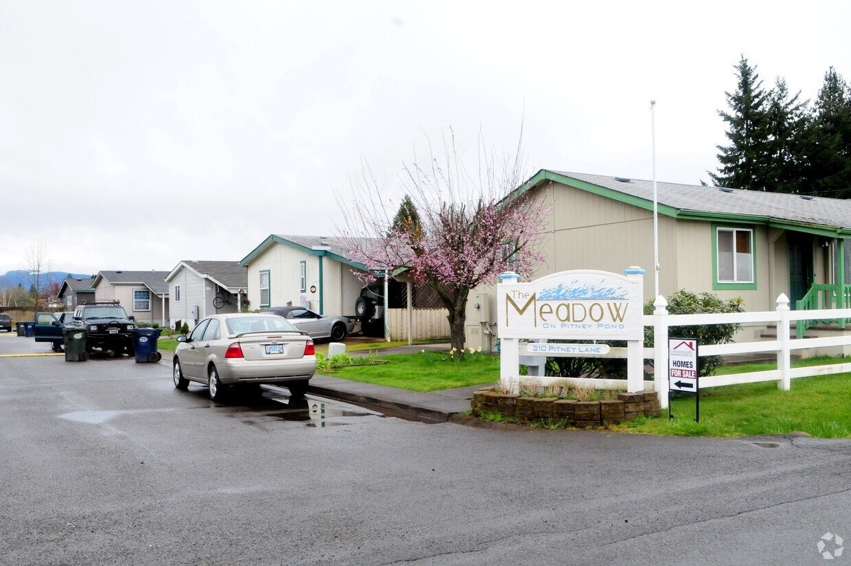 The Meadow on Pitney Pond Apartments in Junction City, OR