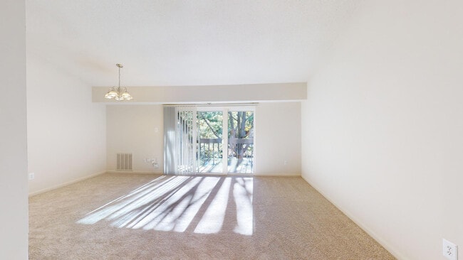 Interior Photo - Calvert's Walk