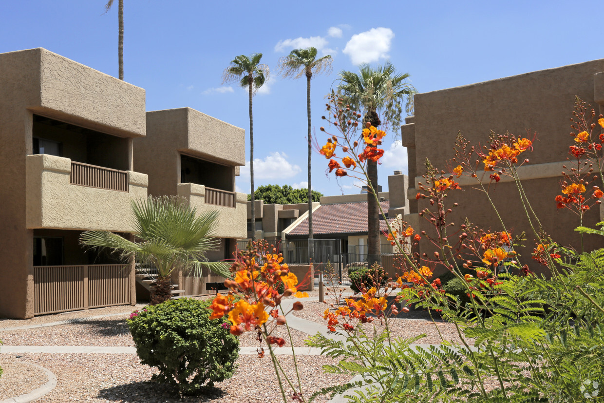 Primary Photo - Papago Crossing